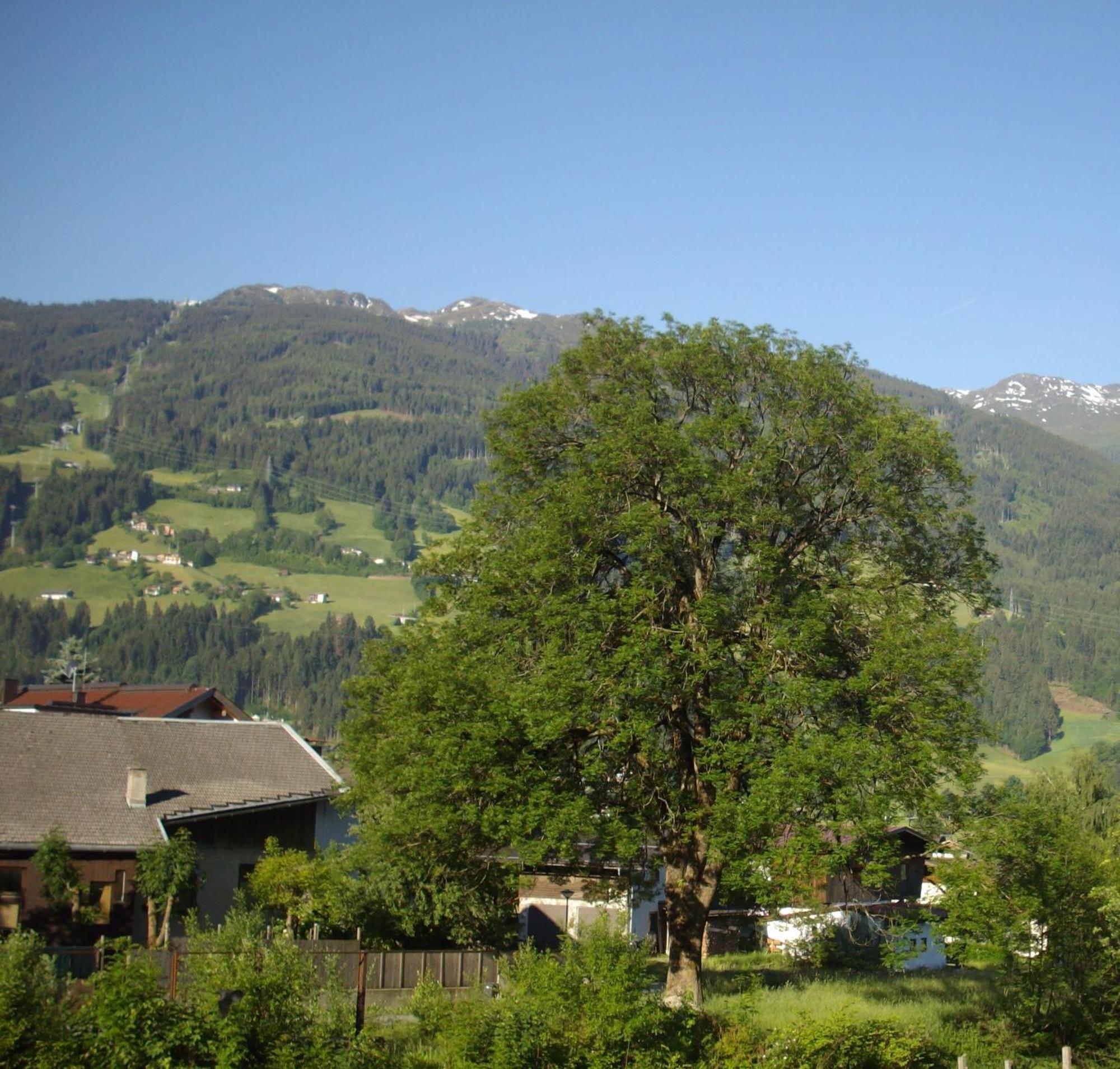 Ferienhaus Zillertal Stumm Zewnętrze zdjęcie